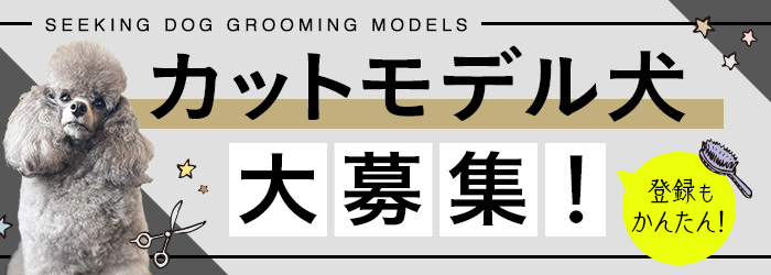 カットモデル犬 大募集！