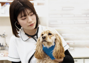 国家資格 愛玩動物看護師