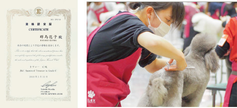 JKC公認トリマーライセンス