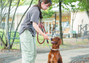 JKC公認トリマーライセンス