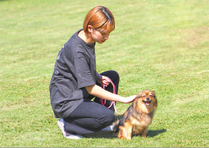 JKC公認トリマーライセンス