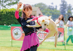 ZCCキャットマイスター