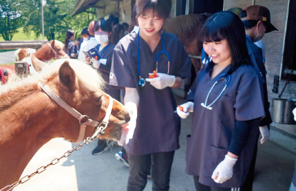 馬の健康診断